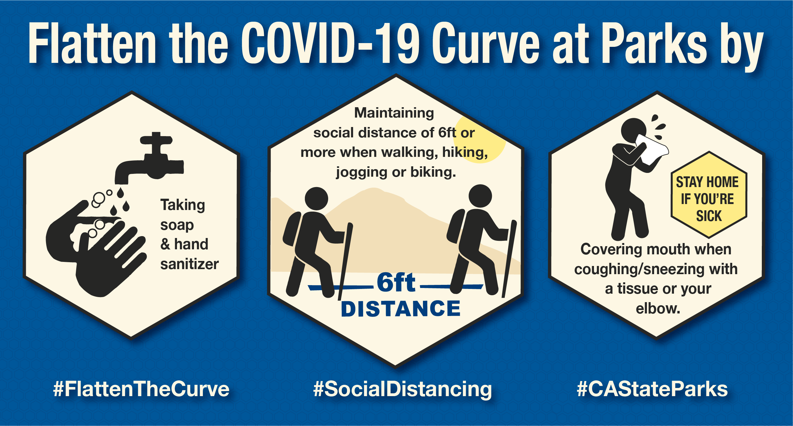 Flatten the COVID-19 Curve image